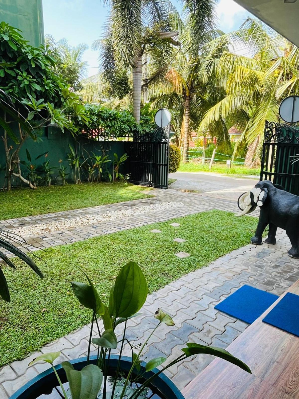 Nebula Residence Negombo Kültér fotó